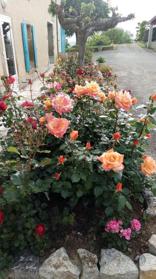 La Vigneronne Bed and Breakfast Villelongue-d'Aude Exteriör bild