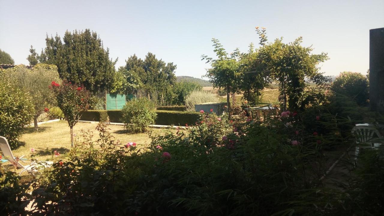 La Vigneronne Bed and Breakfast Villelongue-d'Aude Exteriör bild